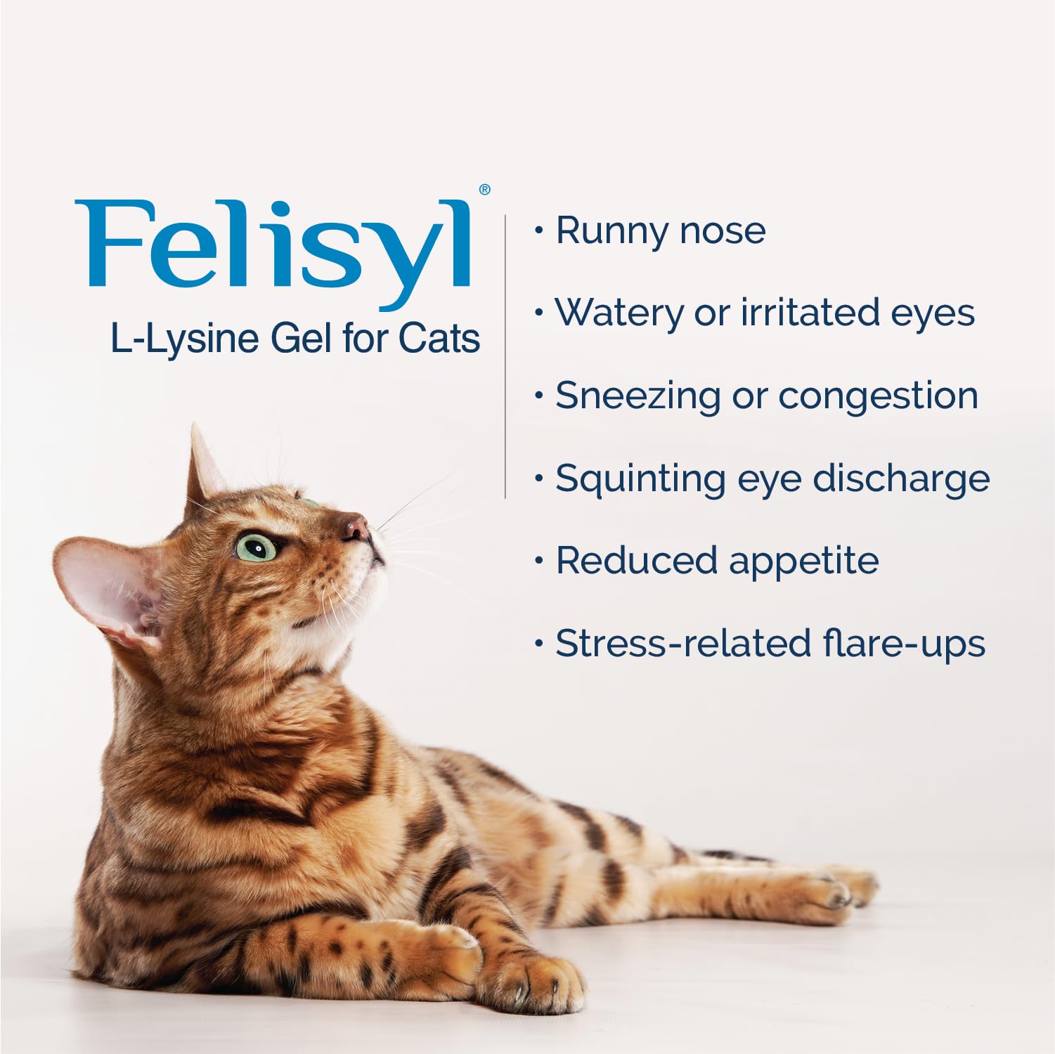 Felisyl gel textura cercana que facilita la ingestión y aceptación