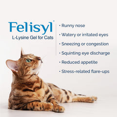 Felisyl gel textura cercana que facilita la ingestión y aceptación