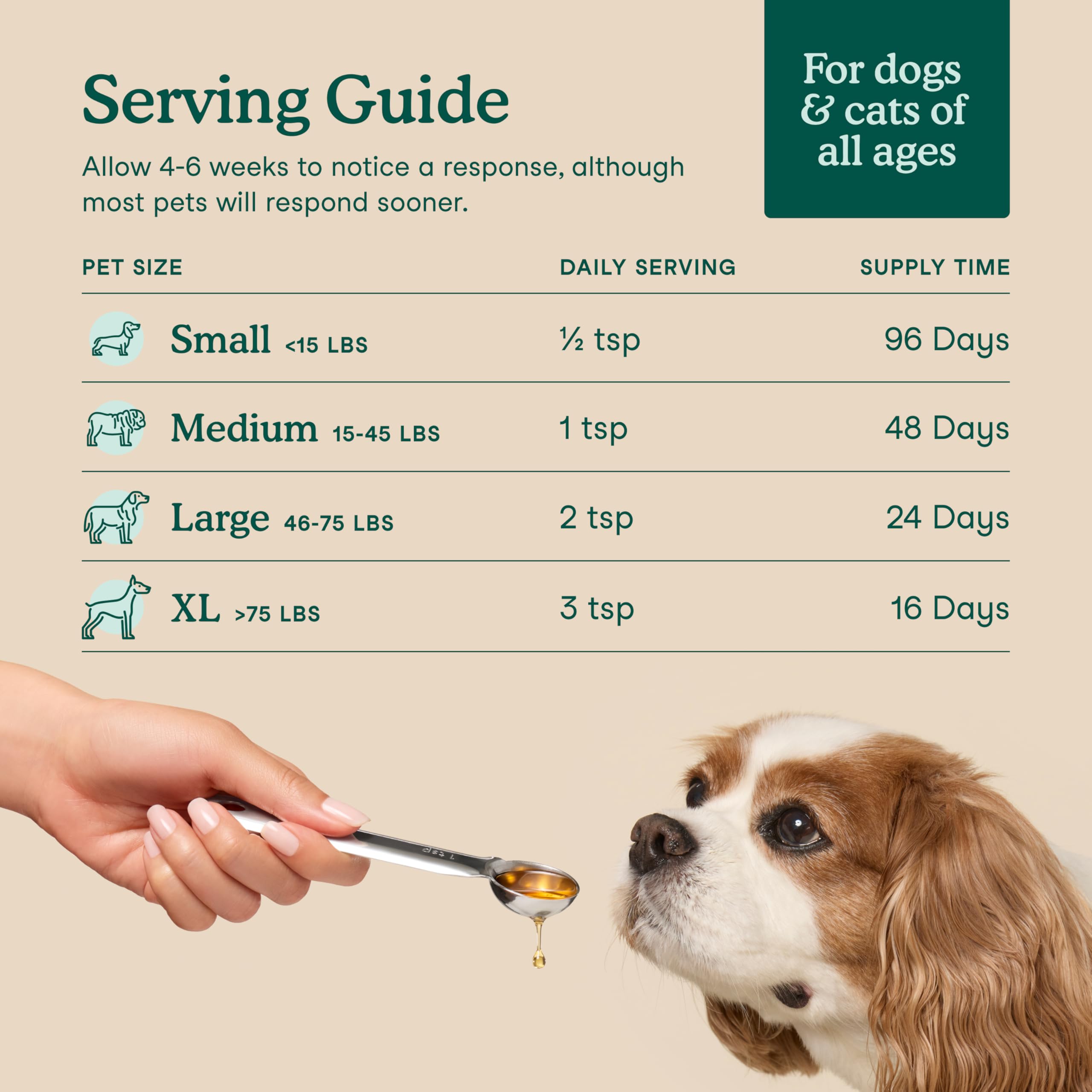 Fera Pets aceite vertido sobre comida de perro muestra uso diario beneficio aceptación por mascotas