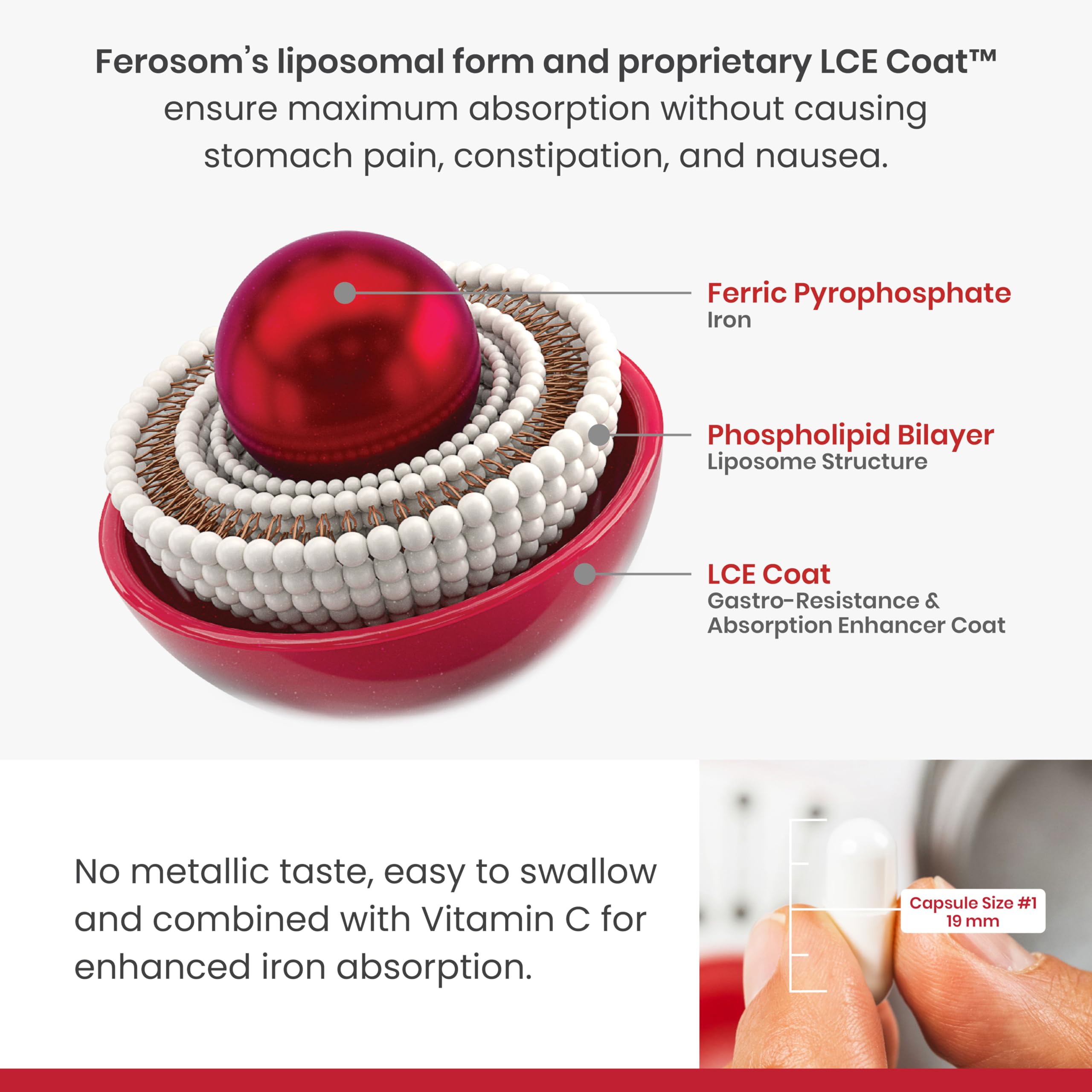 FEROSOM FORTE cápsula abierta detalle del recubrimiento liposomal, destaca absorción