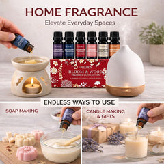 Fiora Naturals botellas alineadas que resaltan seis fragancias concentradas