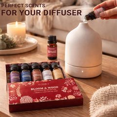 Fiora Naturals difusor operativo en sala generando ambiente acogedor