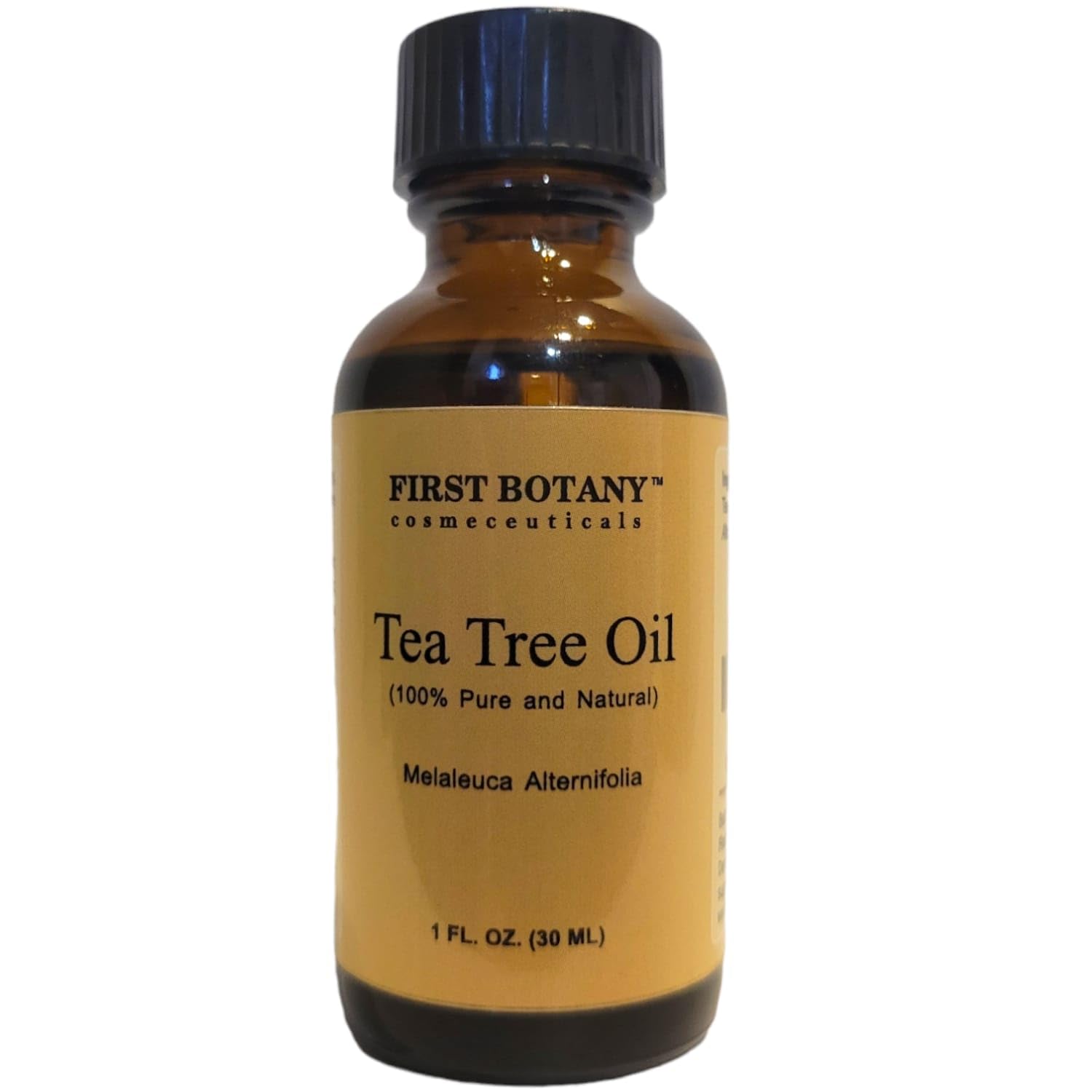 First Botany hojas de árbol de té frescas y paisaje de origen australiano
