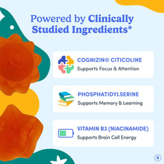 Etiqueta de FIRST DAY con lista de ingredientes, muestra transparencia y confianza