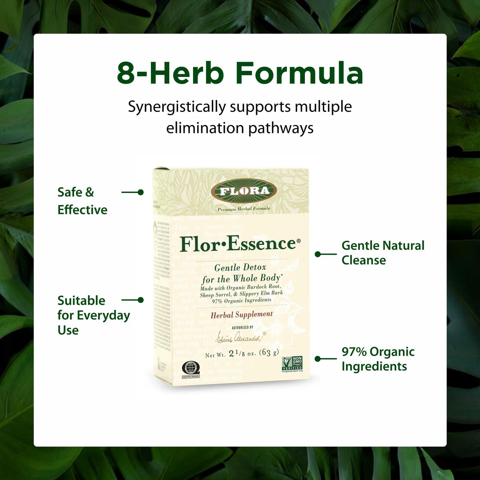 Flora FlorEssence taza de infusión lista para beber y disfrutar
