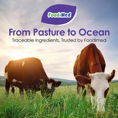 FoodiMed Multi Colágeno: uso diario en estilo de vida saludable para piel, cabello y uñas.