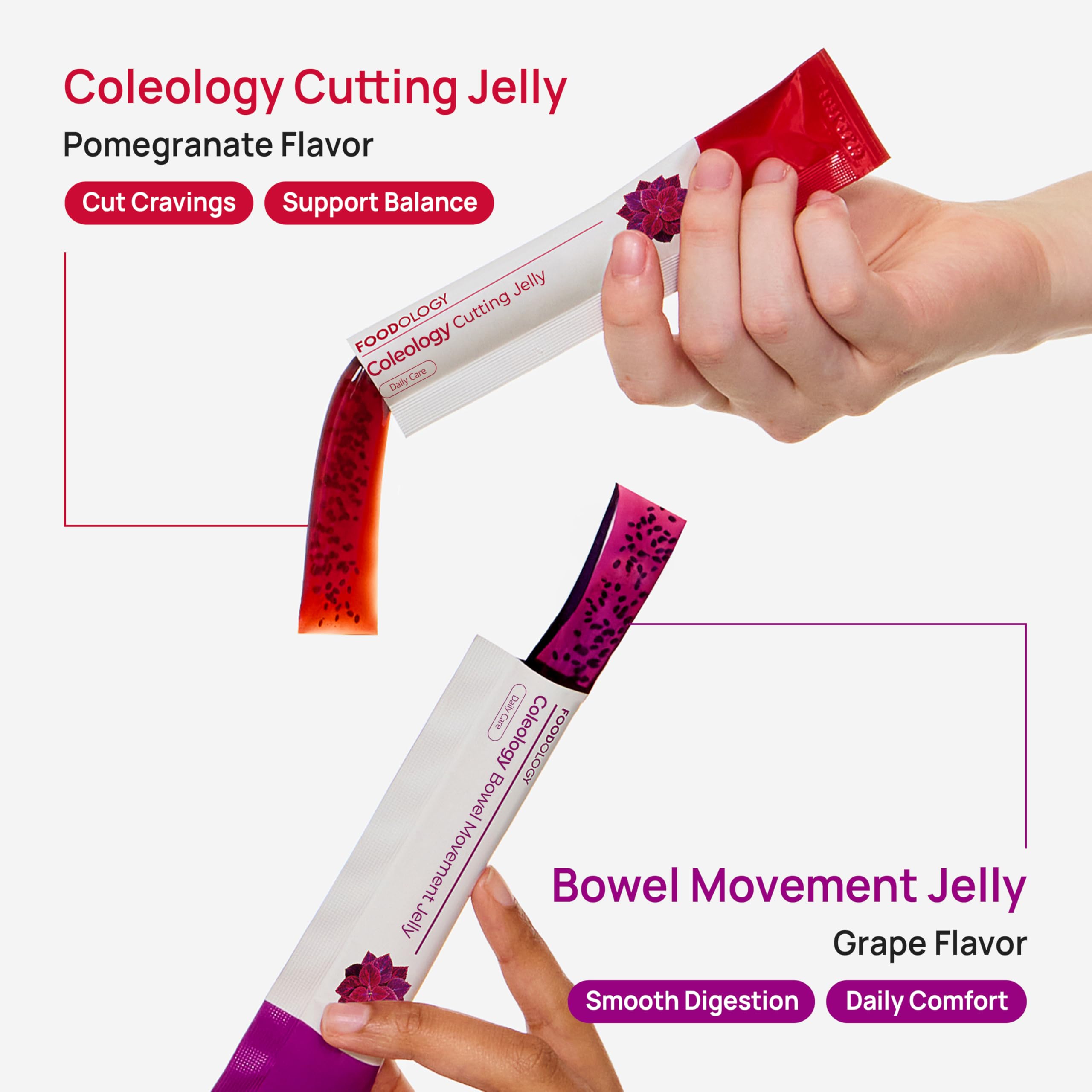 FOODOLOGY sticks en mano para mostrar tamaño y facilidad de transporte