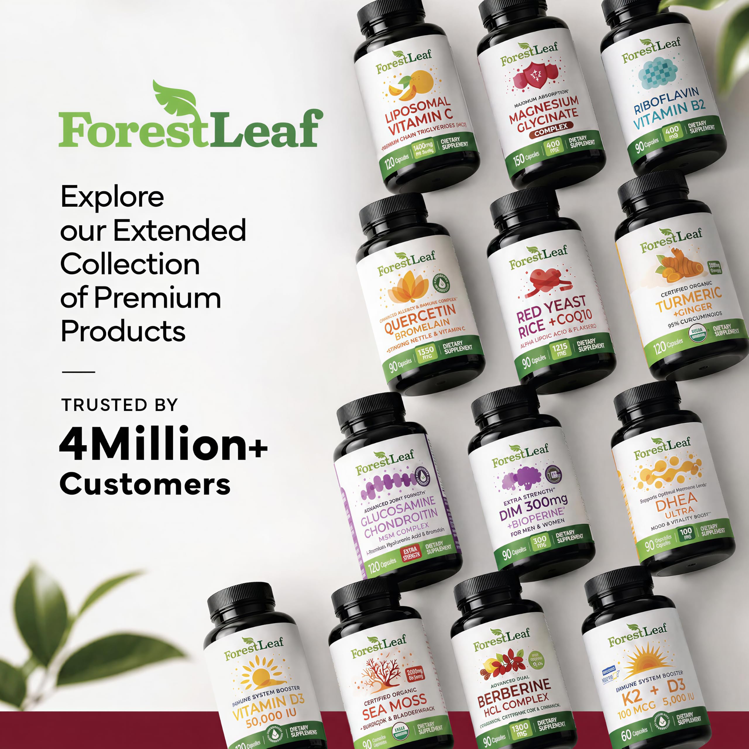 ForestLeaf suplemento en cocina, estilo de vida saludable y conveniencia