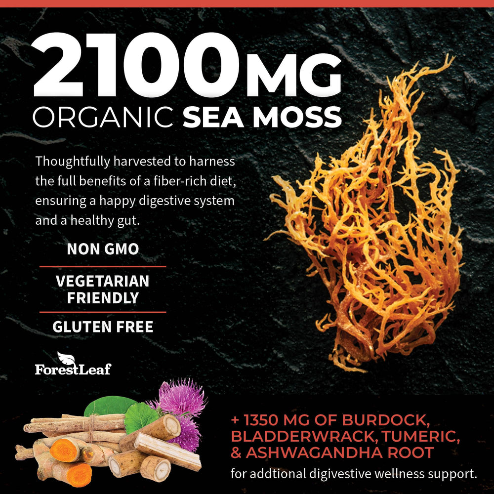 ForestLeaf cápsula abierta mostrando polvo fino de sea moss para transparencia de contenido
