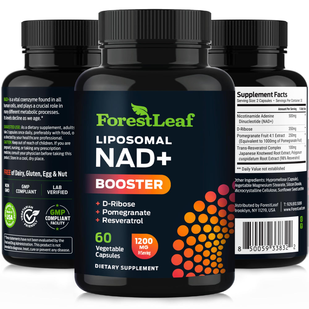 ForestLeaf estilo de vida mostrando energía y concentración activa