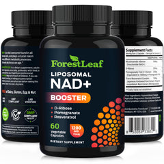 ForestLeaf estilo de vida mostrando energía y concentración activa