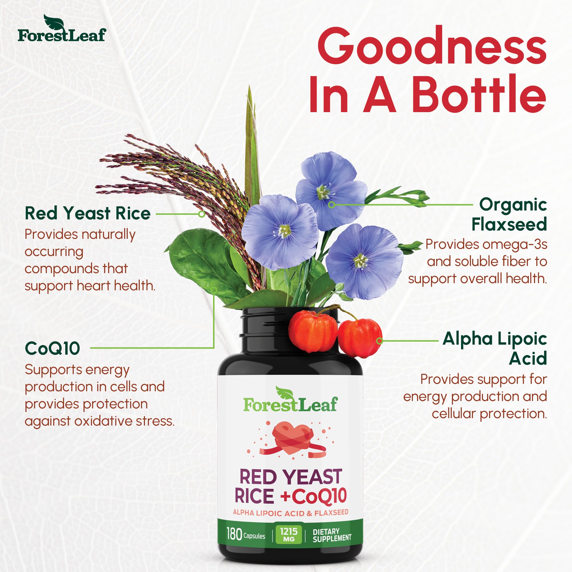 ForestLeaf etiqueta de ingredientes resaltando CoQ10 y linaza orgánica