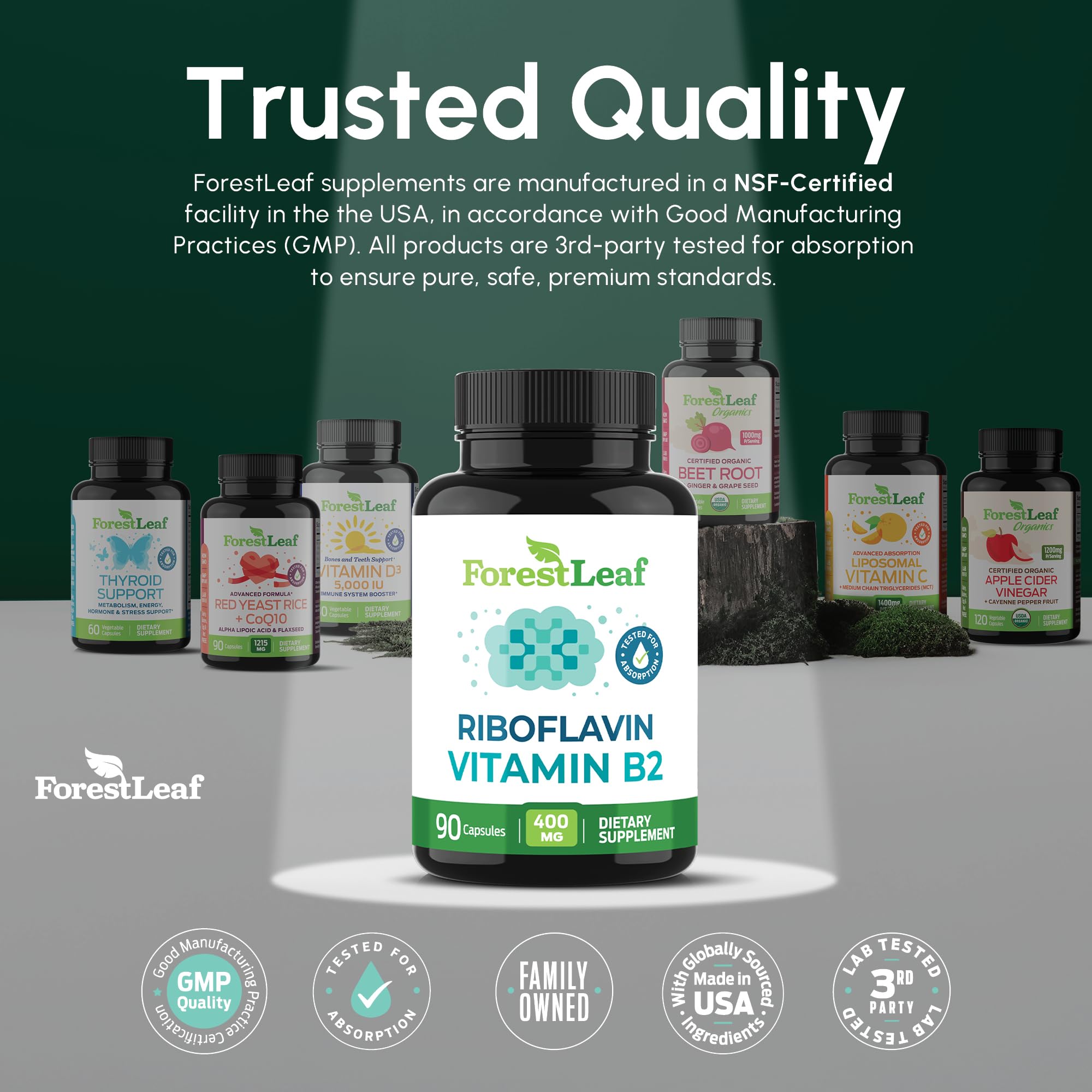 ForestLeaf suplemento en cocina para integrar en rutina diaria saludable