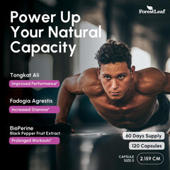 ForestLeaf suplemento en entorno de gimnasio, beneficio: apoyo para entrenamientos activos