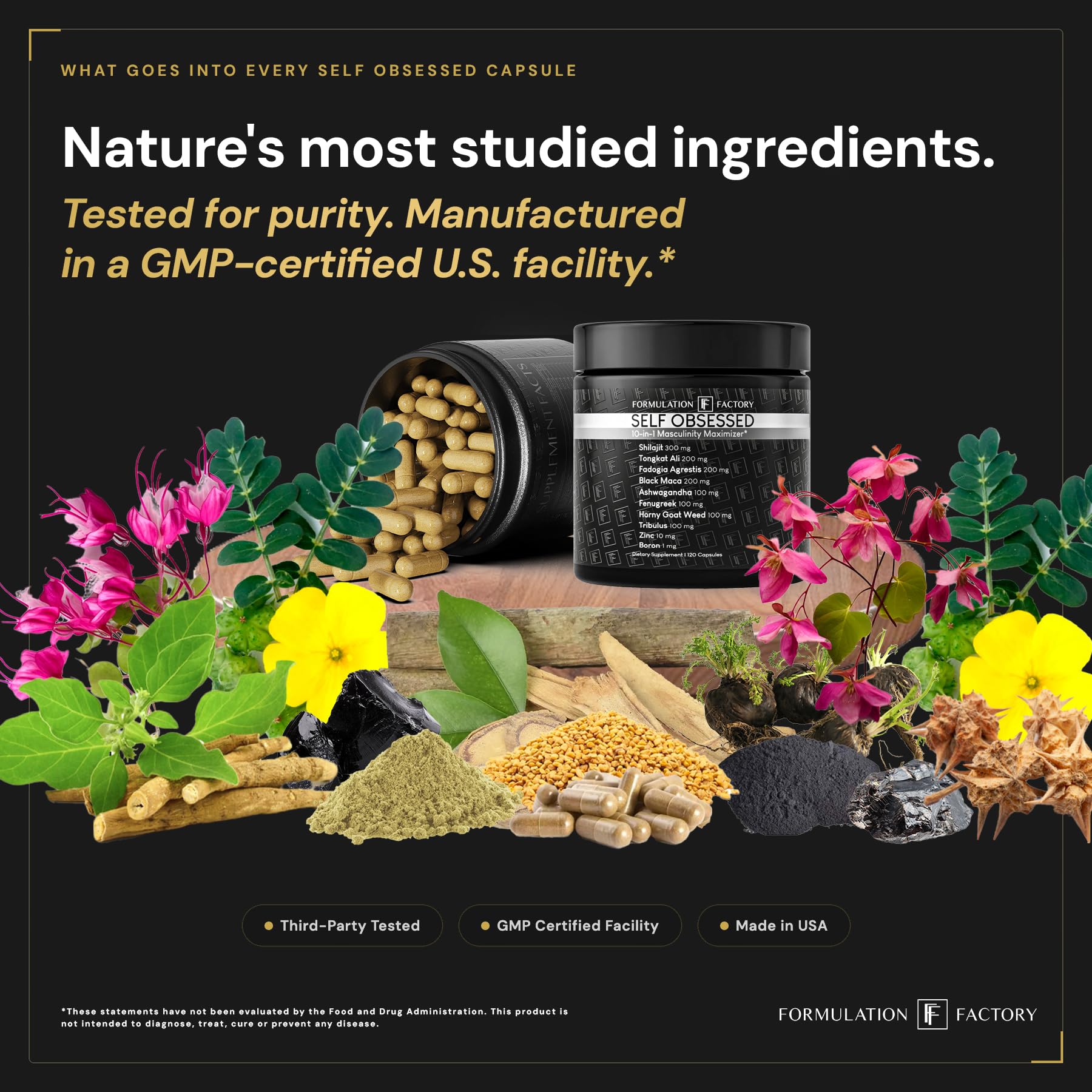 Formulation Factory estilo de vida con hombre activo usando suplemento