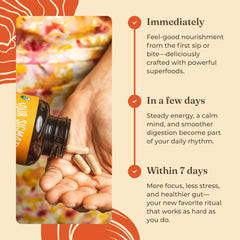 Four Sigmatic ingredientes clave como Lion's Mane y Bacopa ordenados