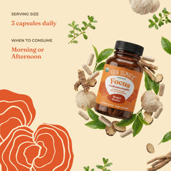 Four Sigmatic cápsula en mano para comparar tamaño y dosificación