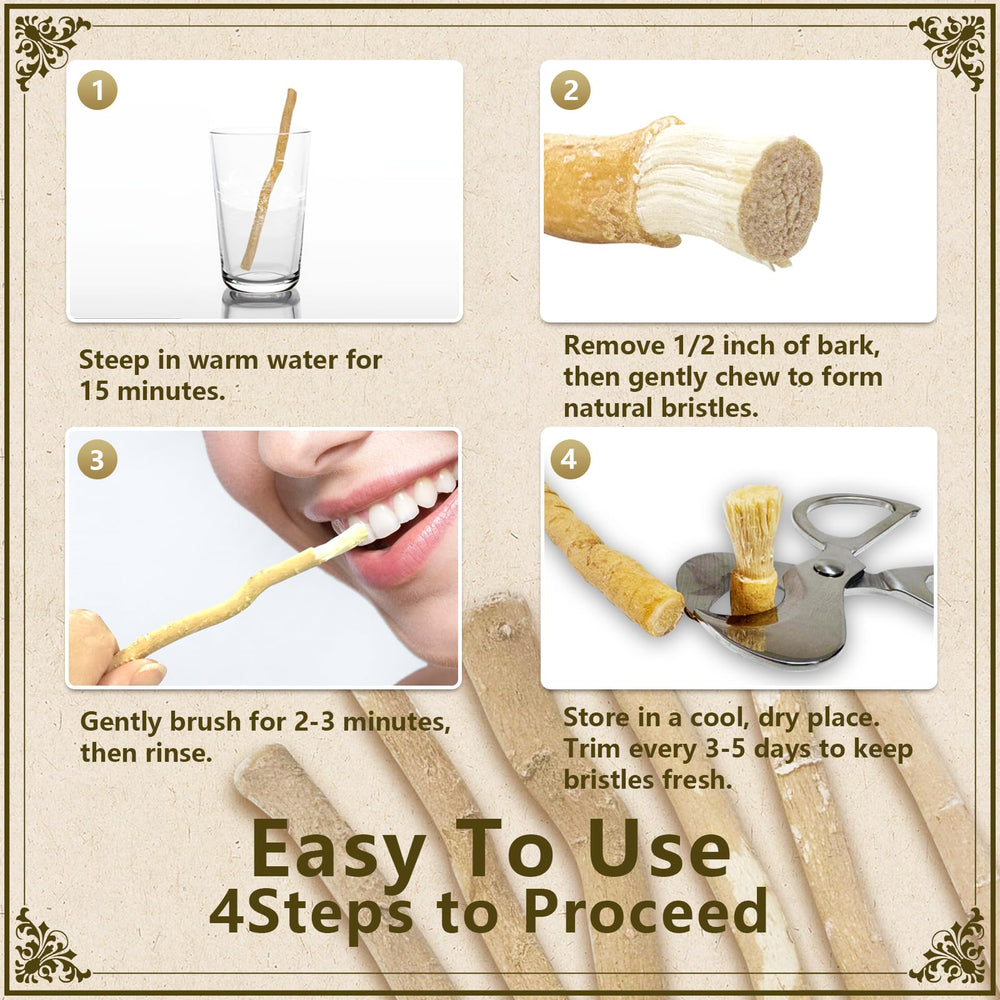 FREEGRIN comparación visual entre Miswak y cepillo plástico para sostenibilidad