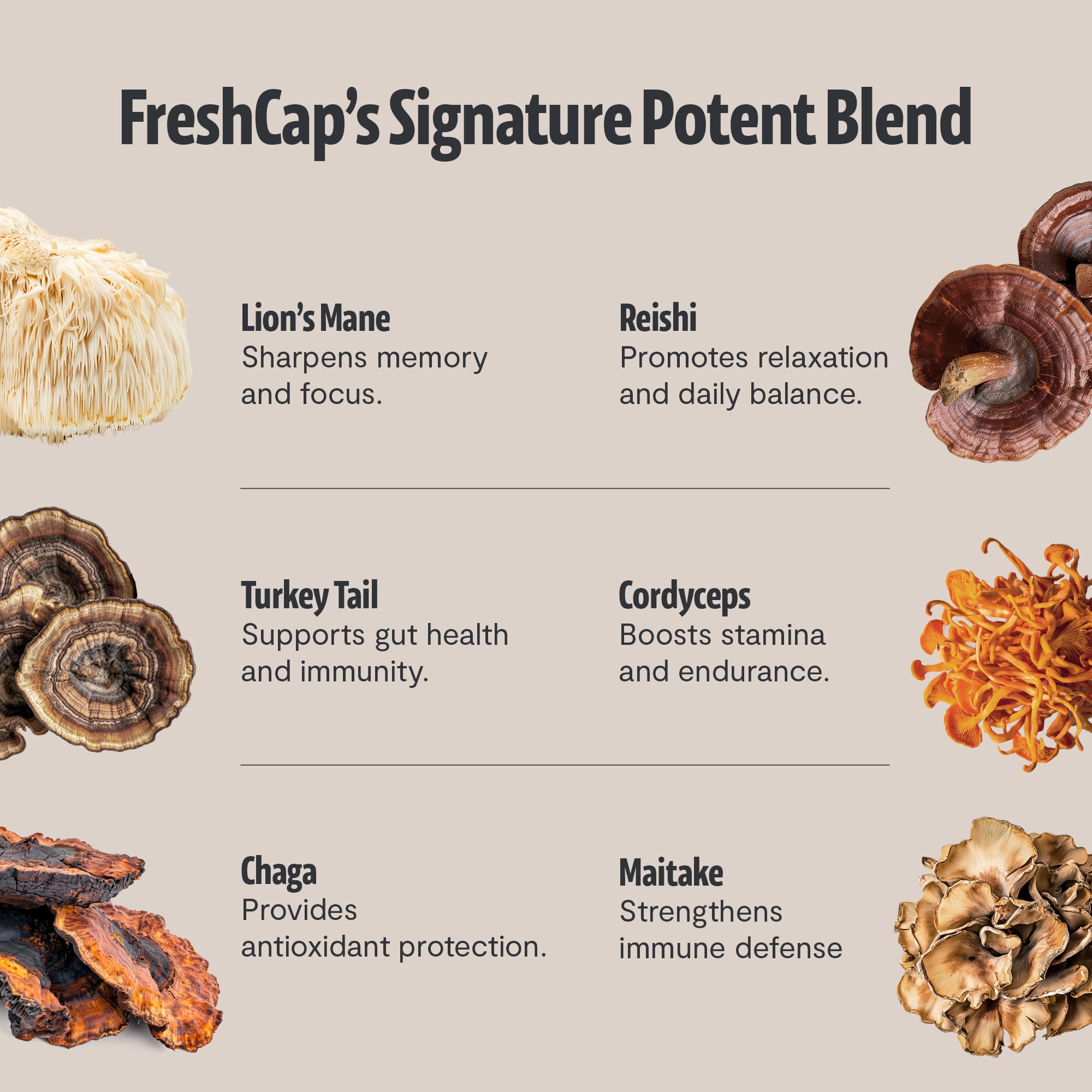 FreshCap Mushrooms porción medida en cucharilla para dosis consistente