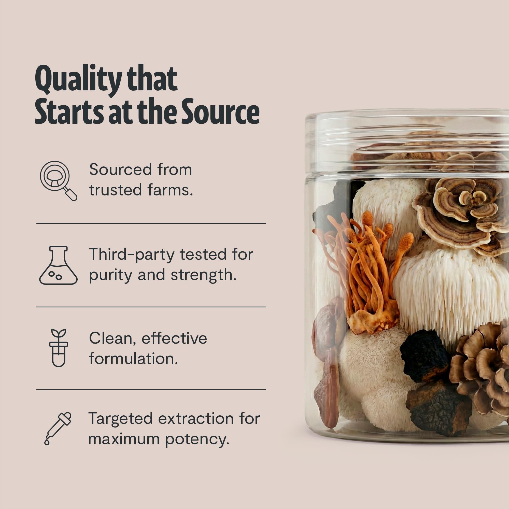 FreshCap Mushrooms bebida caliente preparada, integración diaria cómoda