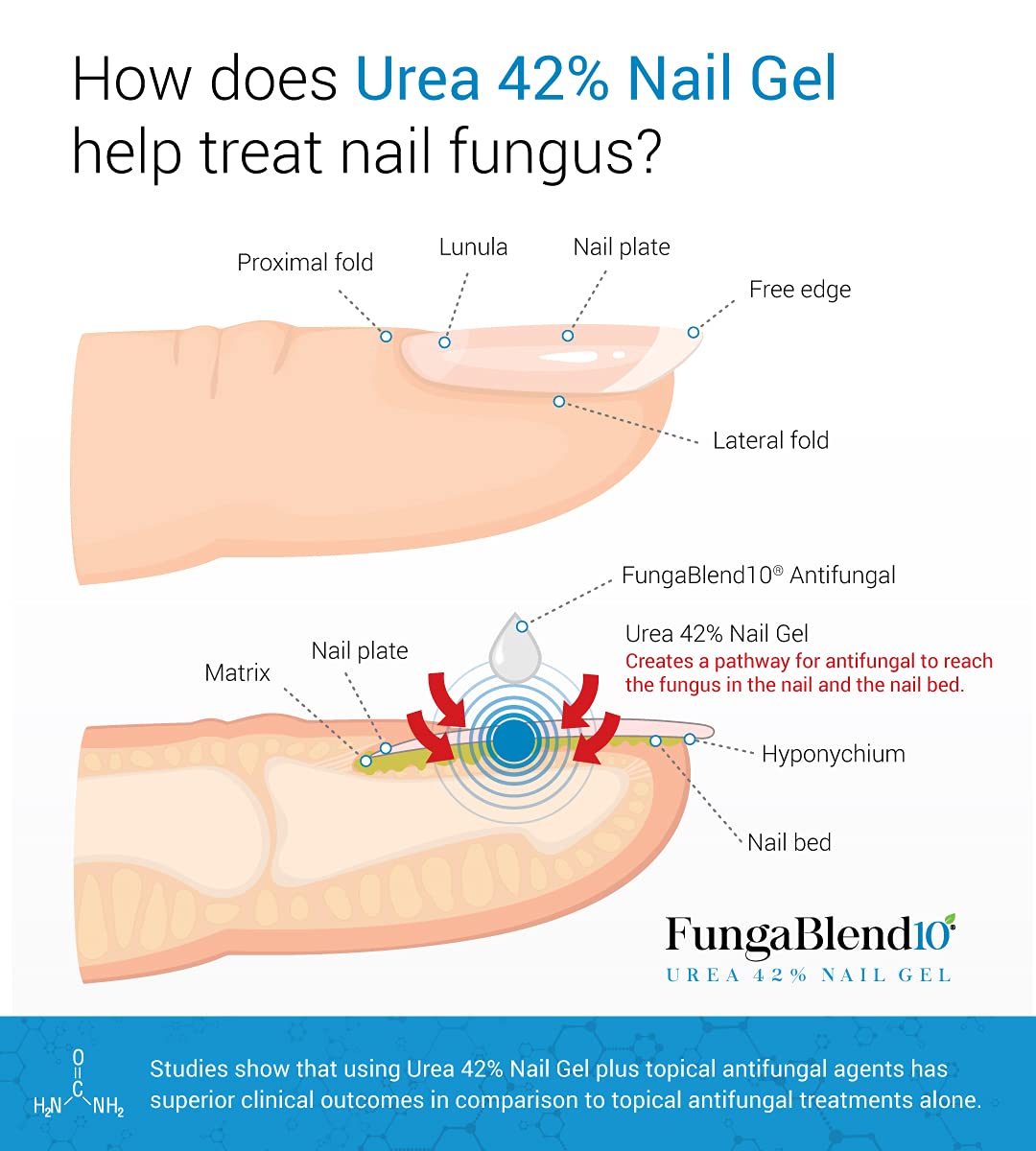 FungaBlend 10 aplicador con pincel para aplicación precisa y sin desperdicio