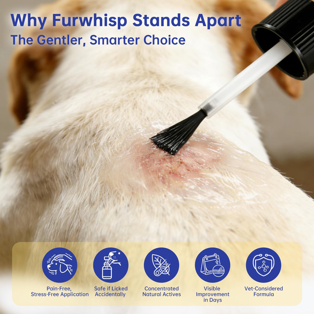 Furwhisp en uso aplicando en verruga de perro; tratamiento sin estrés