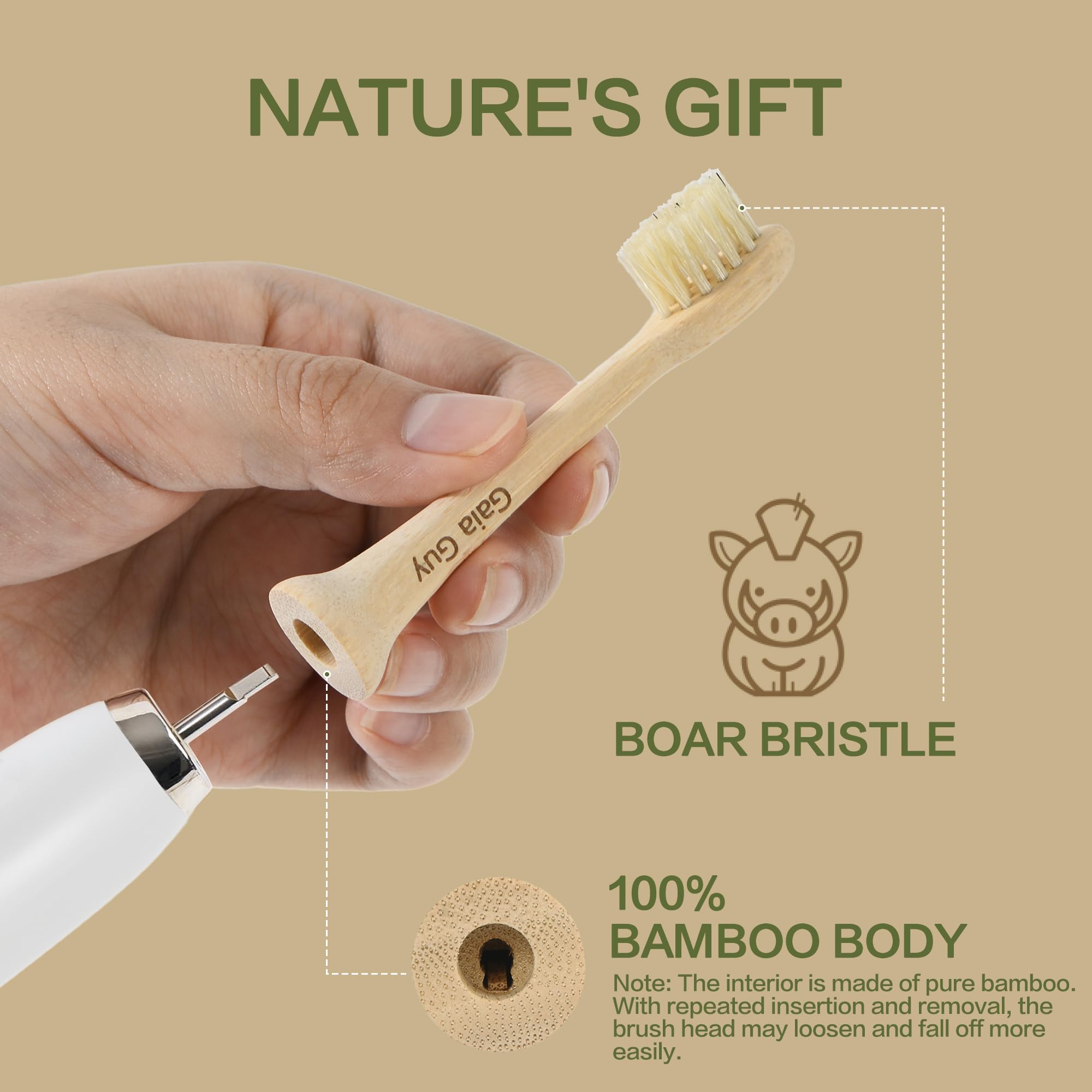 gaia guy primer plano de las cerdas de jabalí, limpieza natural y suave