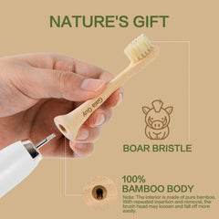 gaia guy primer plano de las cerdas de jabalí, limpieza natural y suave