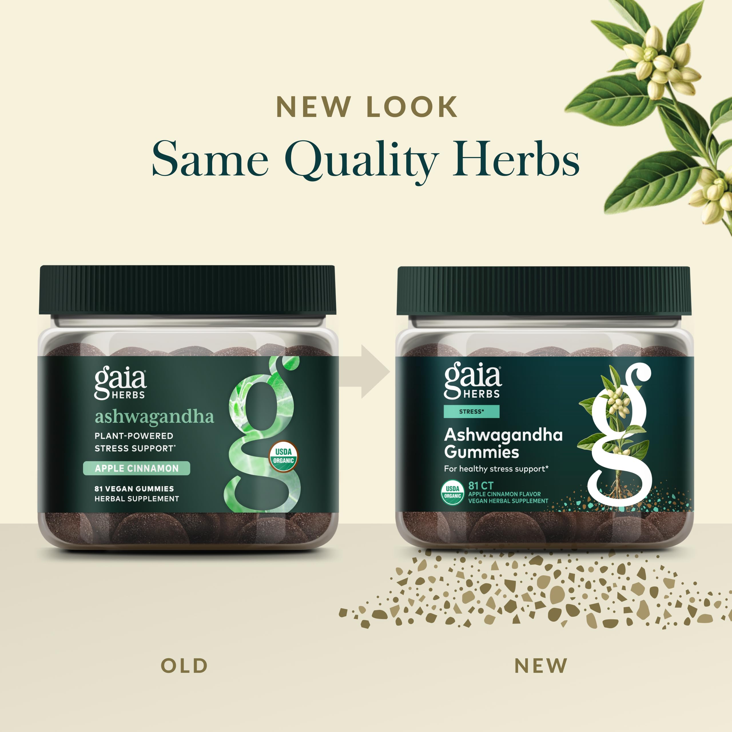 Gaia Herbs arándanos y dátiles que ilustran endulzantes naturales y sabor