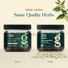 Gaia Herbs arándanos y dátiles que ilustran endulzantes naturales y sabor