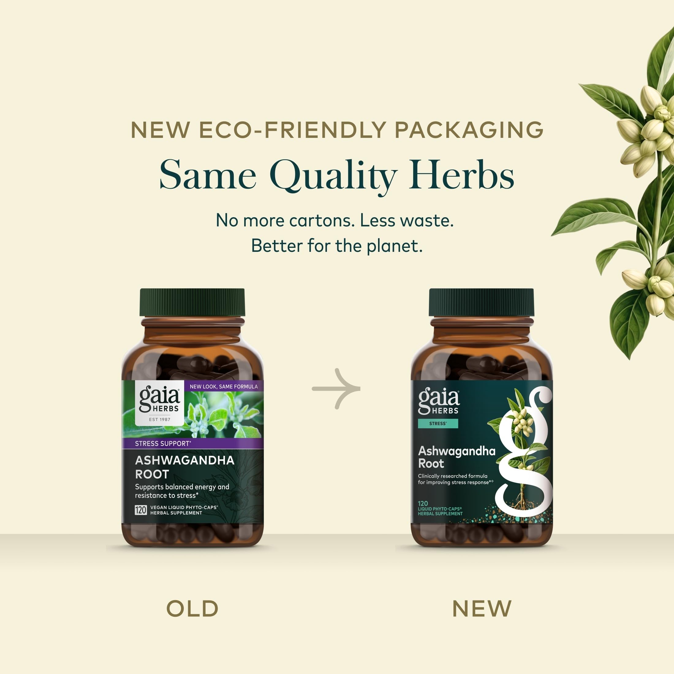 Producto Gaia Herbs en una mañana saludable, mostrando integración en rutina diaria