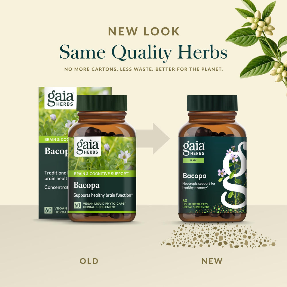 Gaia Herbs Bacopa en mano para comparar tamaño y cantidad, referencia de escala