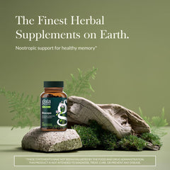 Detalle de la etiqueta Gaia Herbs Bacopa destacando ingredientes y pureza