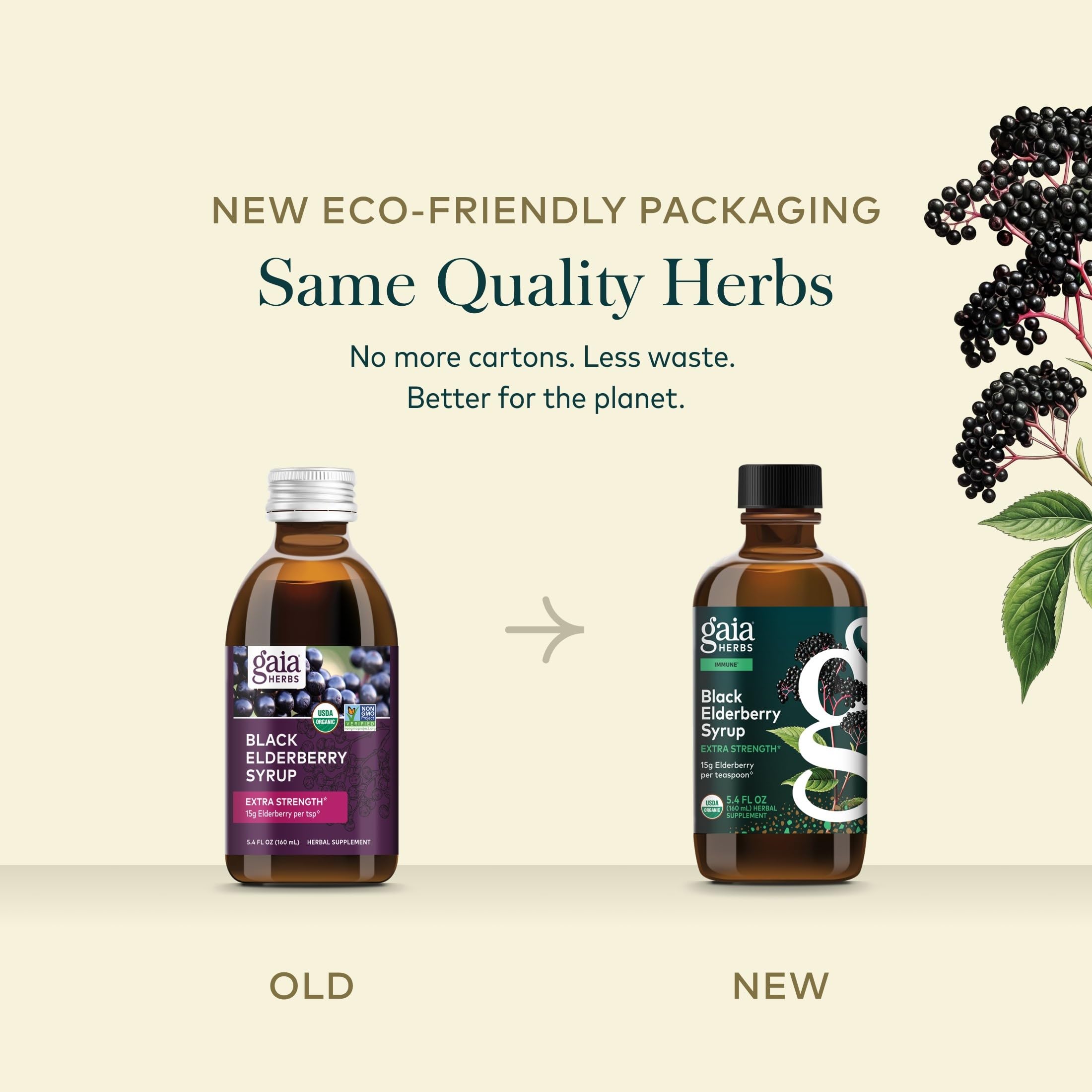 Gaia Herbs bayas de saúco frescas antes del procesamiento, origen natural