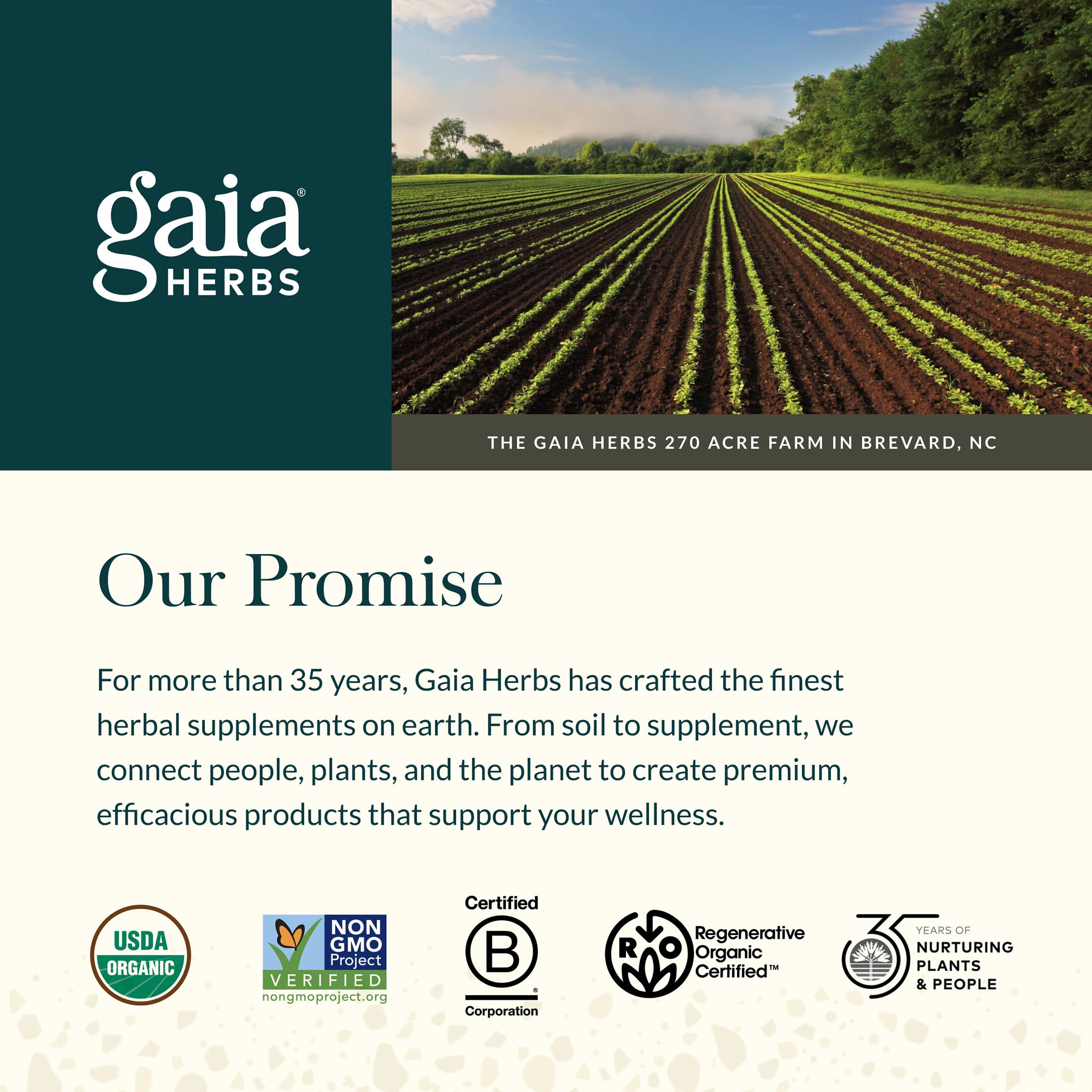Gaia Herbs botella abierta con cápsulas vistas desde arriba para presentación