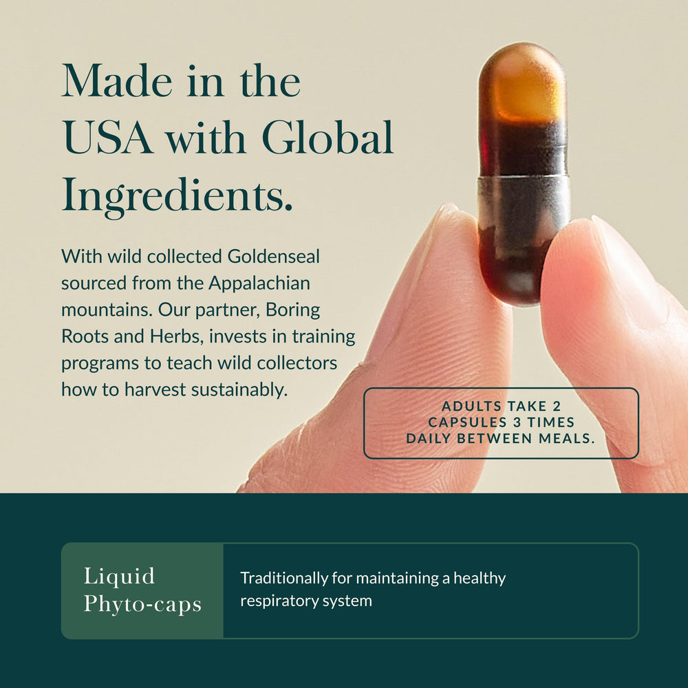 Gaia Herbs cápsula abierta con extracto líquido, muestra concentración vegetal