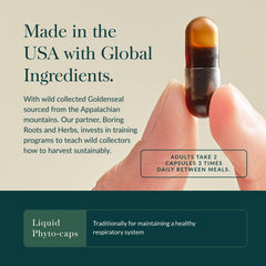 Gaia Herbs cápsula abierta con extracto líquido, muestra concentración vegetal