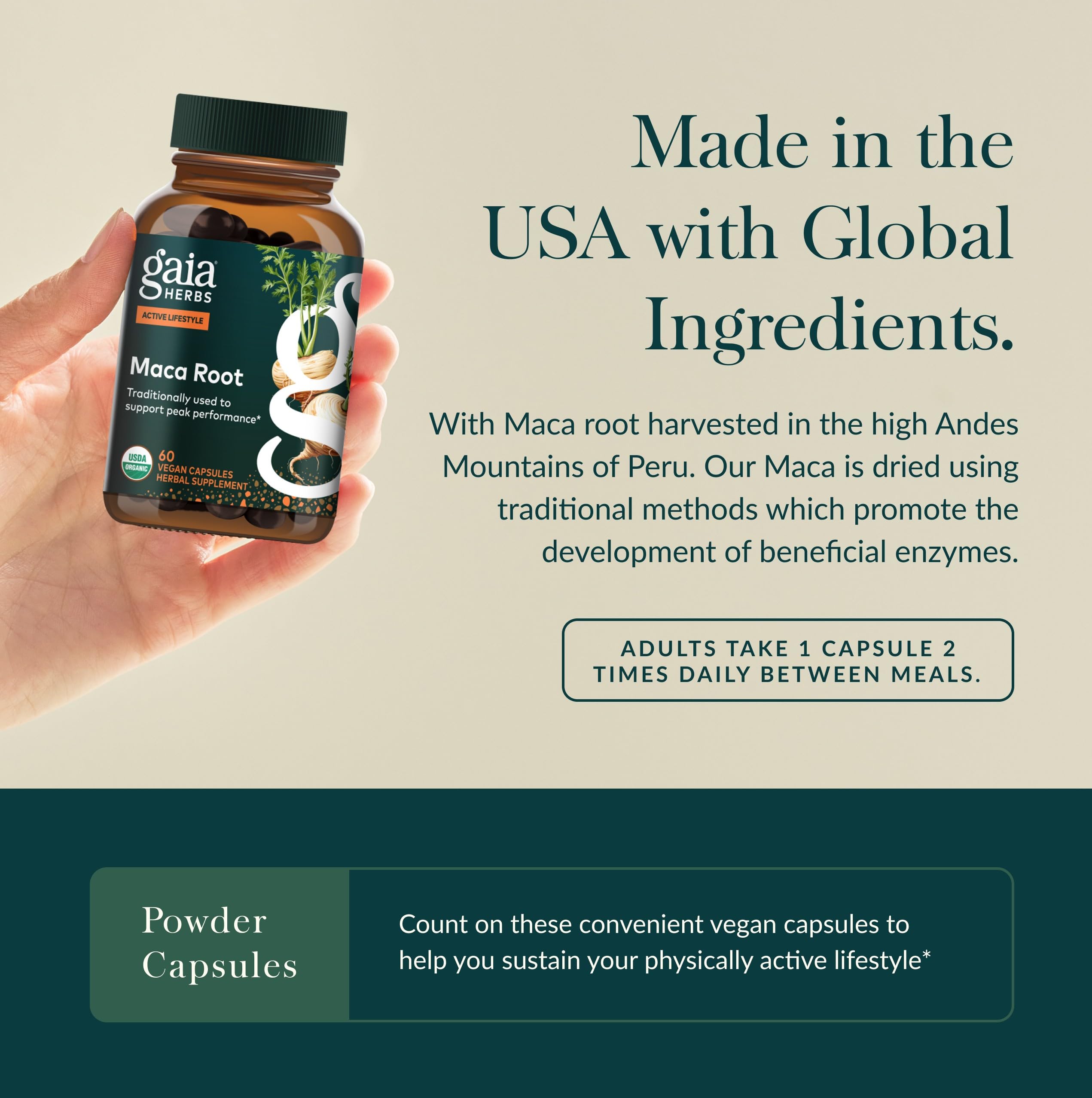 Gaia Herbs cápsula junto a moneda para comparar tamaño y comodidad de ingestión