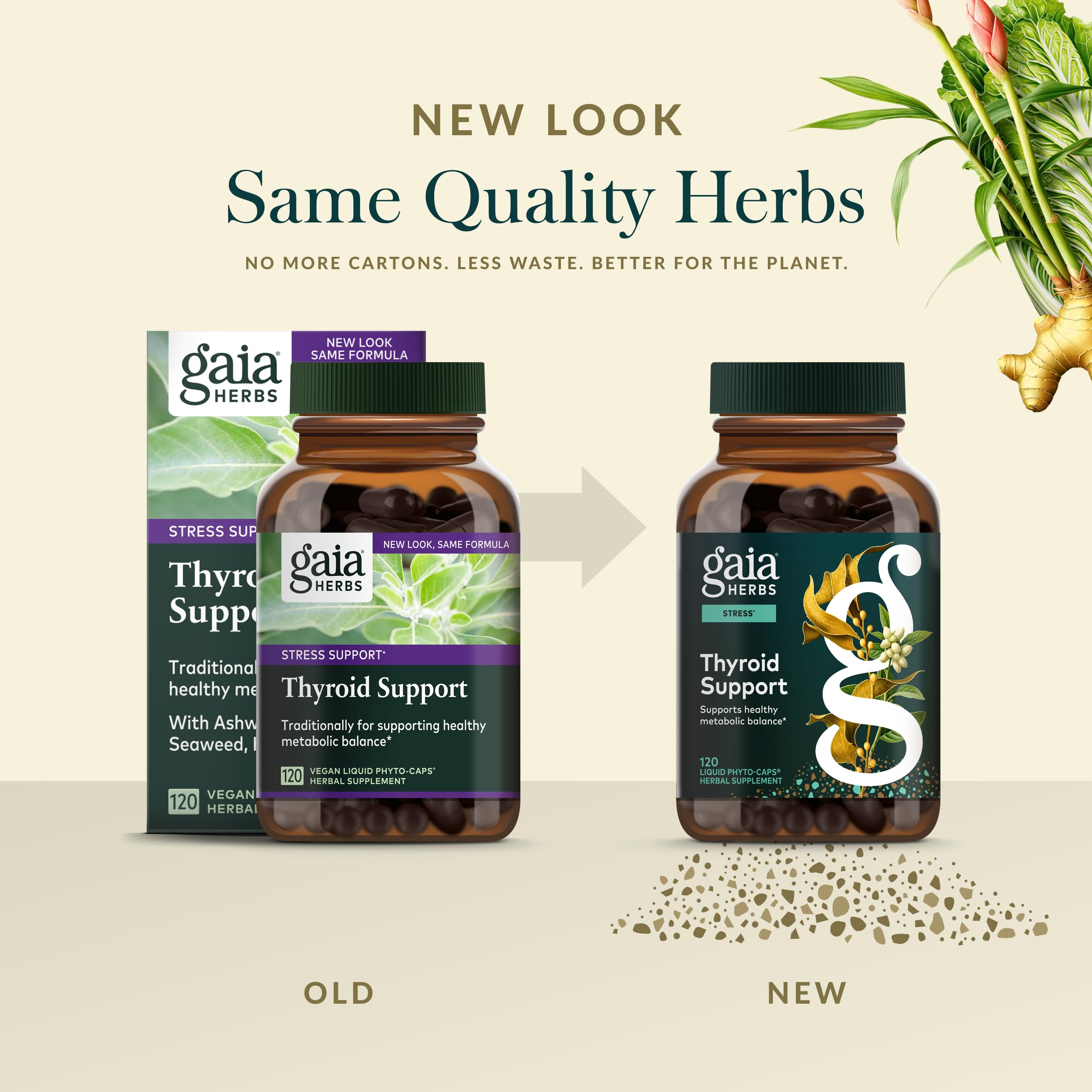 Gaia Herbs cápsulas en mano para comparar tamaño y dosificación