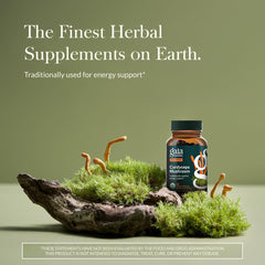 Gaia Herbs cápsulas abiertas detalladas para dosificación fácil y sin sabores