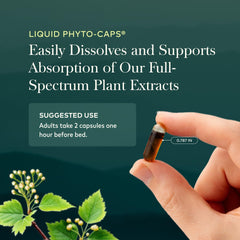 Gaia Herbs cordyceps en detalle que sugiere beneficio equilibrante