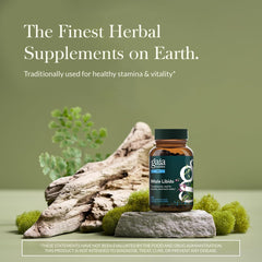 Gaia Herbs detalle de la etiqueta con lista de ingredientes, claridad y transparencia