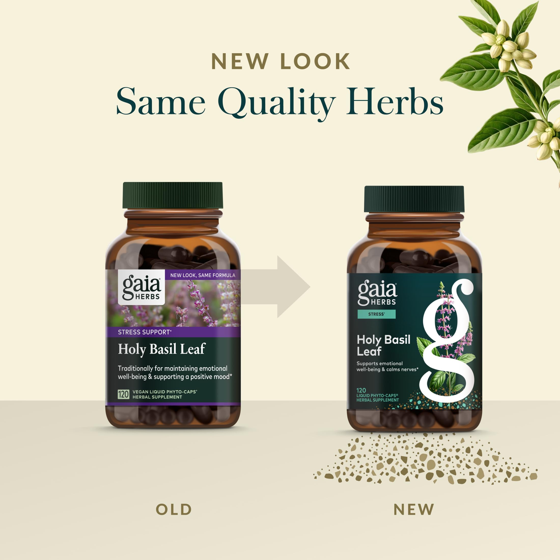 Gaia Herbs persona tomando cápsula, integración sencilla en la rutina