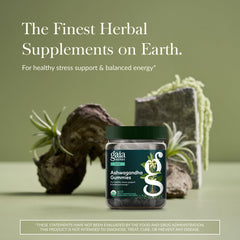 Gaia Herbs close-up textura de gomita, muestra suavidad y calidad
