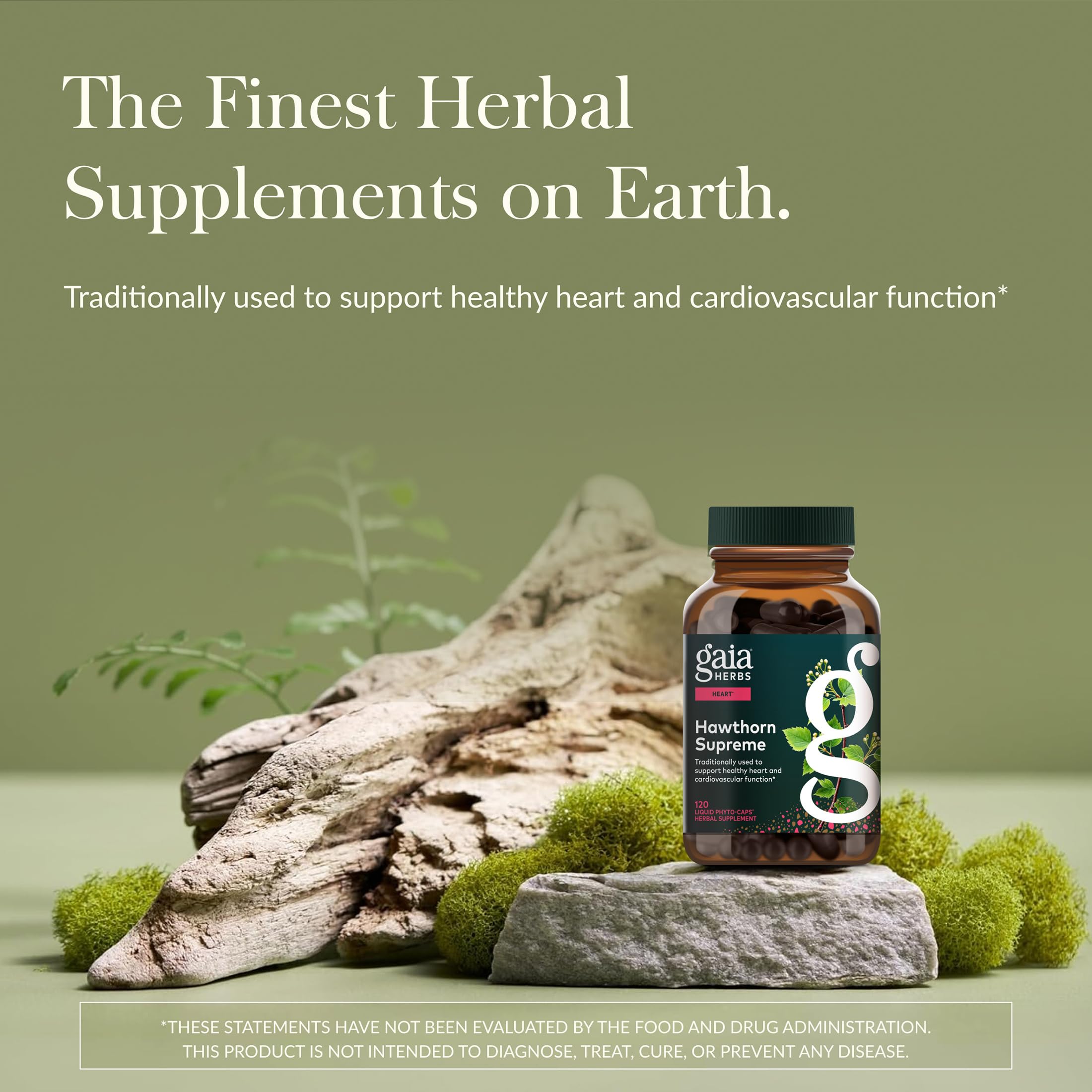 Gaia Herbs primer plano de bayas de espino mostrando riqueza fitoquímica