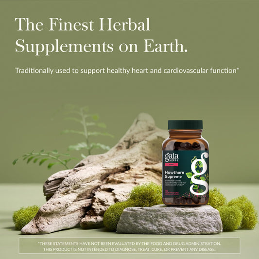 Gaia Herbs primer plano de bayas de espino mostrando riqueza fitoquímica