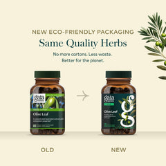 Gaia Herbs cápsula en mano mostrando dosis práctica y uso diario cómodo