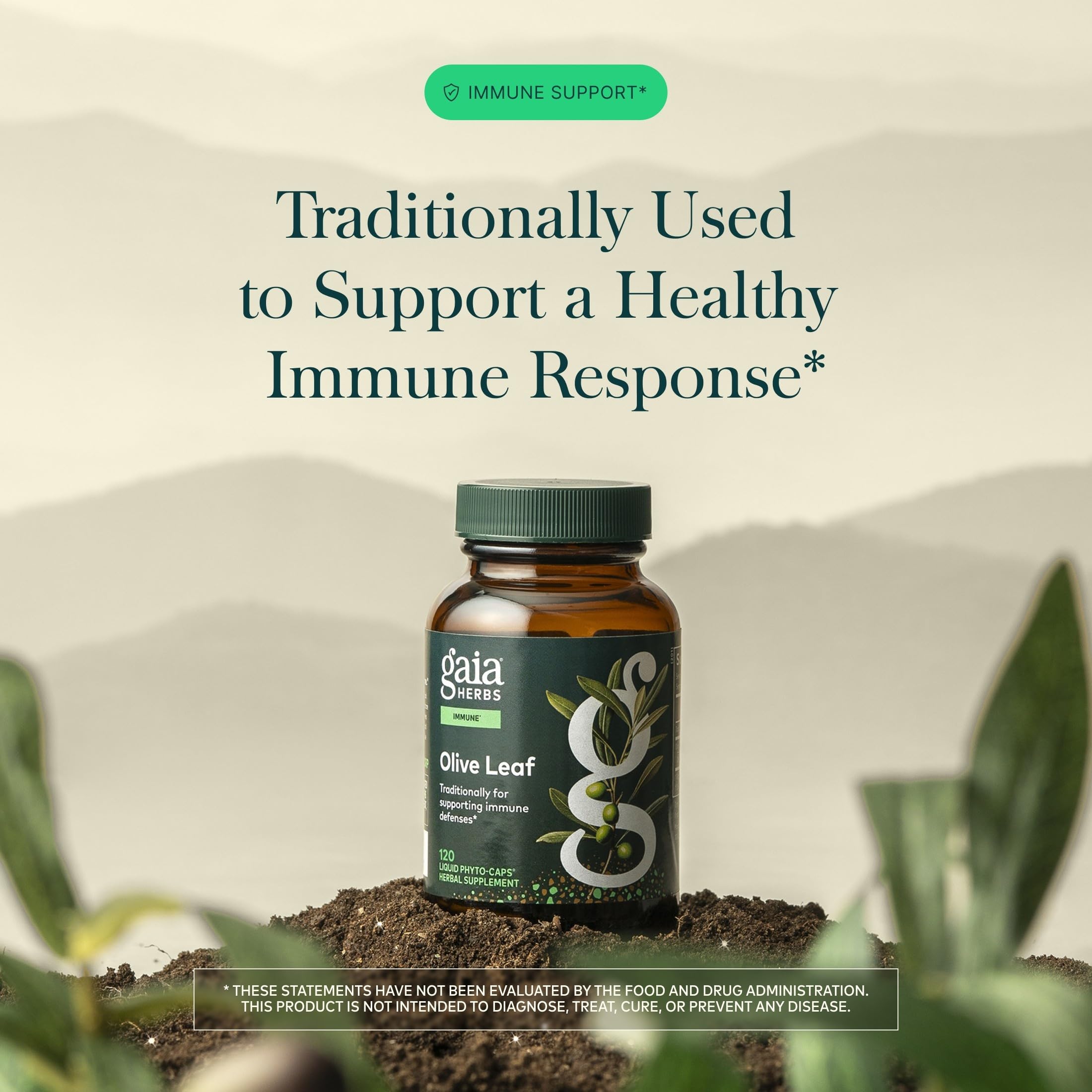 Gaia Herbs primer plano del extracto líquido para apreciar la textura concentrada
