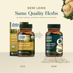 Gaia Herbs cápsula en mano para comparar tamaño y dosificación visual