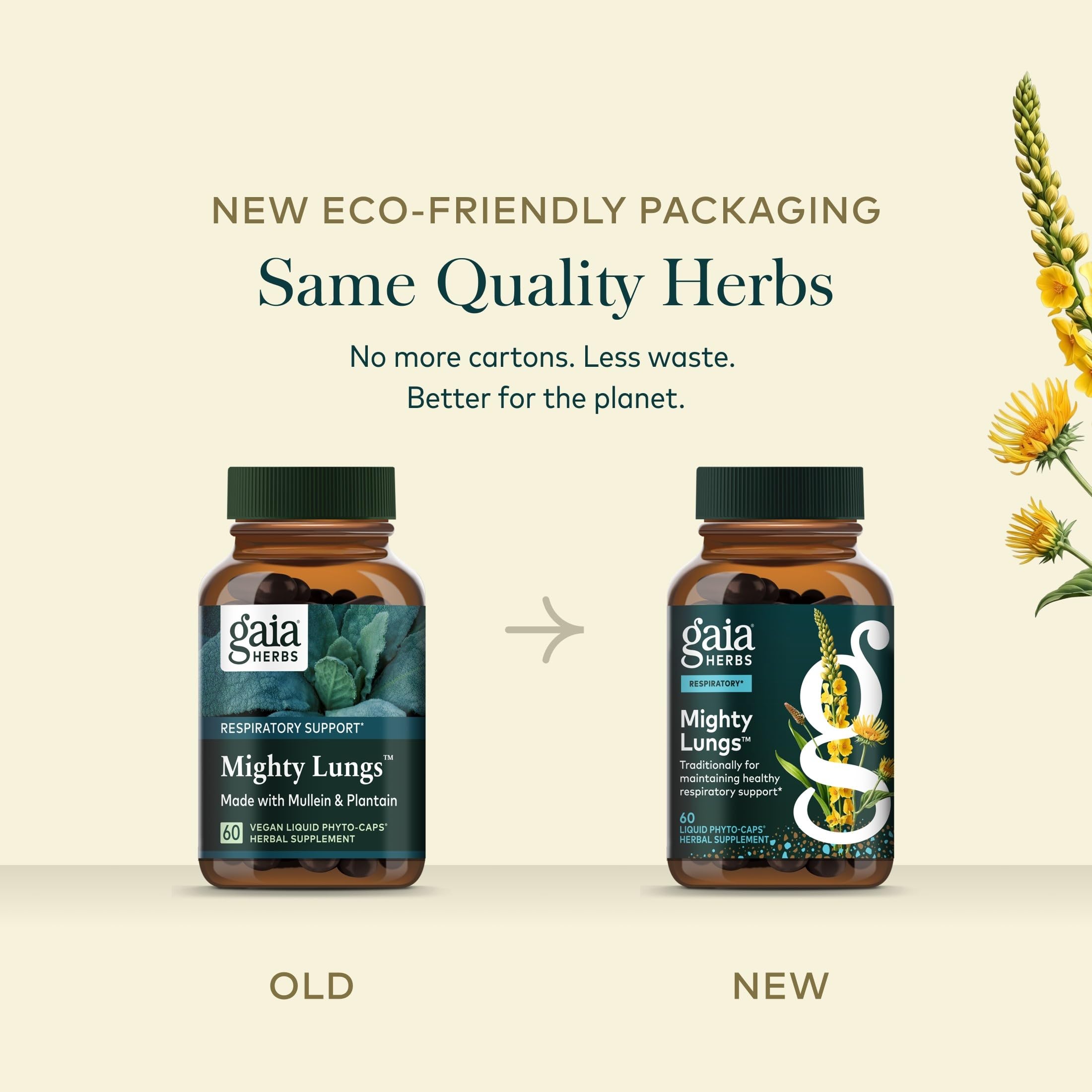 Ingredientes secos alineados que componen Gaia Herbs Mighty Lungs y su origen